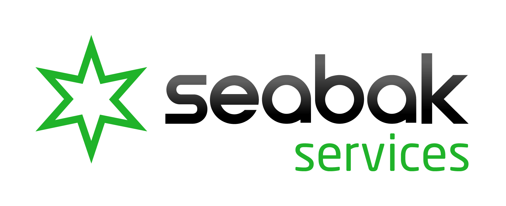 Seabak Services