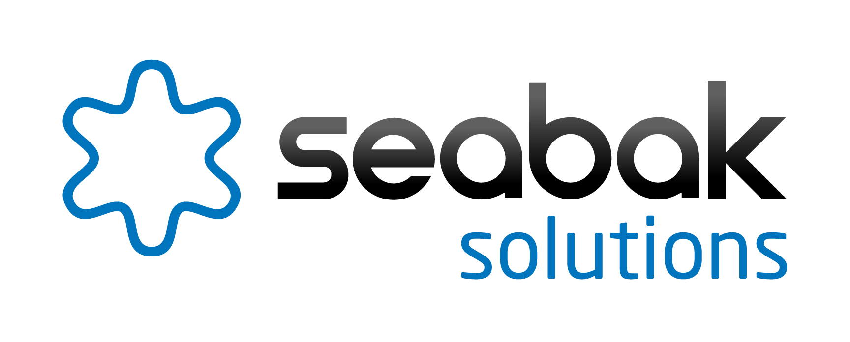Seabak Solutions